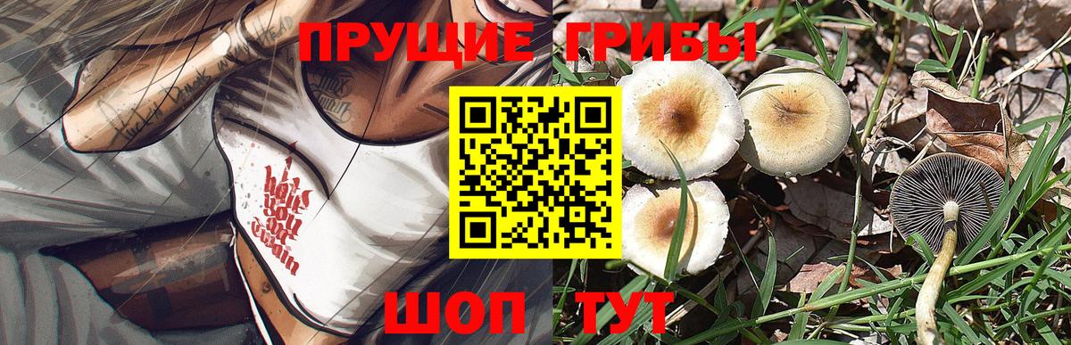 Кодеин  Конопля  Вход с VPN  МДМА  ГАШ  Вологда  Мефедрон кристаллы  МЕФ 