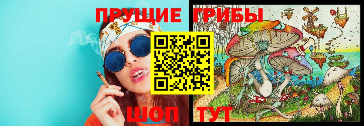 Галлюциногенные грибы GOLDEN TEACHER Вологда