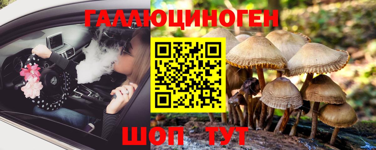 Вологда  Псилоцибиновые грибы MAGIC MUSHROOMS  Вход с VPN 